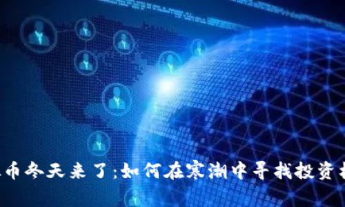 虚拟币冬天来了：如何在寒潮中寻找投资机会？