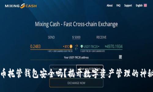 虚拟币托管钱包安全吗？揭开数字资产管理的神秘面纱