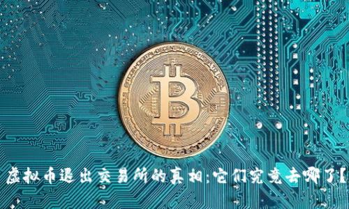虚拟币退出交易所的真相：它们究竟去哪了？