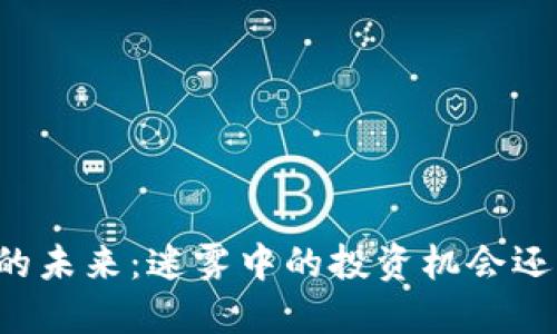 虚拟币的未来：迷雾中的投资机会还是泡沫？
