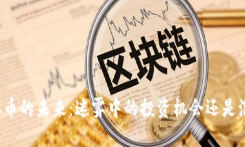 虚拟币的未来：迷雾中的投资机会还是泡沫？