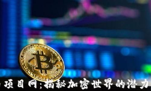 
虚拟币项目网：揭秘加密世界的潜力与风险