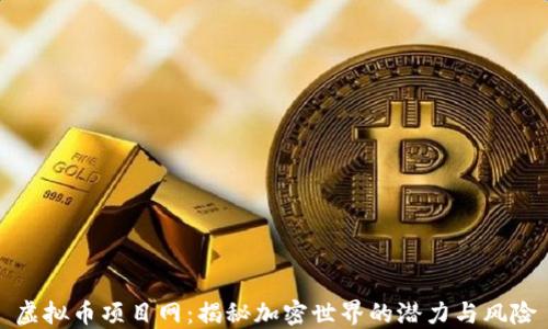 
虚拟币项目网：揭秘加密世界的潜力与风险
