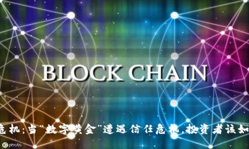 虚拟币危机：当“数字黄金”遭遇信任危机，投资者该如何抉择？