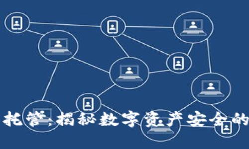 虚拟币托管：揭秘数字资产安全的新趋势