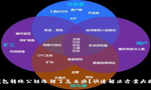 TP钱包转账公链选错了怎么办？快速解决方案大揭秘！