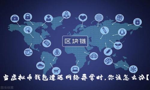 当虚拟币钱包遭遇网络异常时，你该怎么办？
