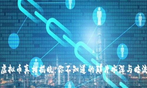 虚拟币真相揭晓：你不知道的那片水深与暗流