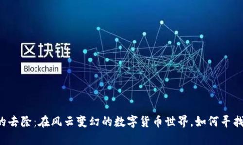 虚拟币泡沫的去除：在风云变幻的数字货币世界，如何寻找真正的价值？