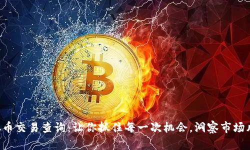 虚拟币交易查询：让你抓住每一次机会，洞察市场风潮！