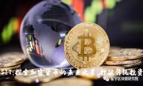 虚拟币SIT：探索加密货币的未来之星，打破传统投资的桎梏